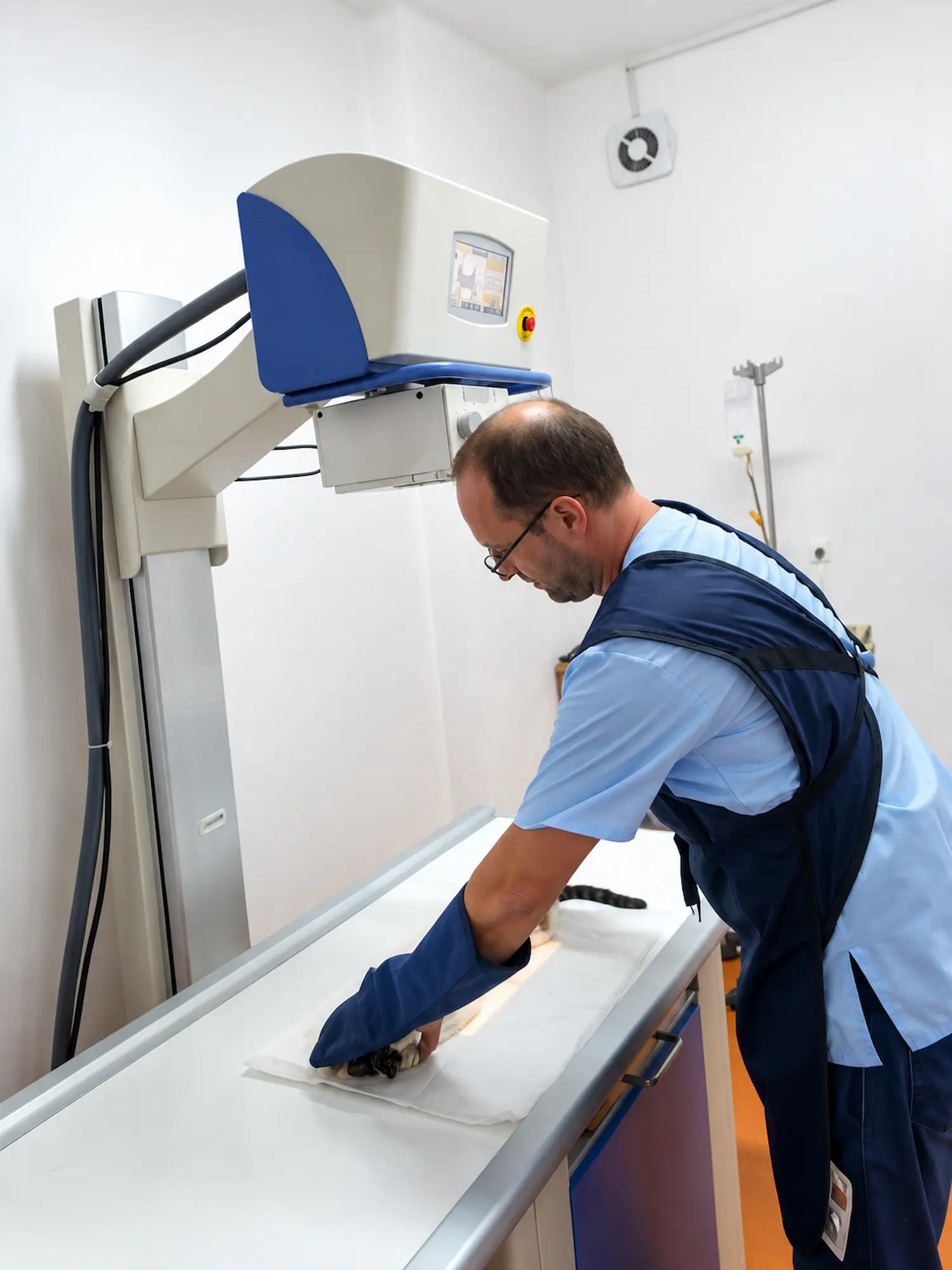 Radiologie veterinară la Clinica Veterinară Dr. Bercaru din București